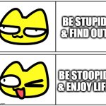 be stoopid with stoopid cats | BE STUPID & FIND OUT; BE STOOPID & ENJOY LIFE | image tagged in be stoopid,stoopid cats,crypto meme,cat meme,funny cat | made w/ Imgflip meme maker