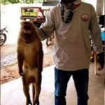 Man holding a monkey by neck
