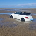 Beetle Enjoys Black Sands Beach