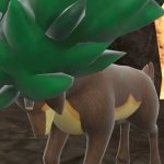 sleeping sawsbuck