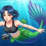mermaid perrin