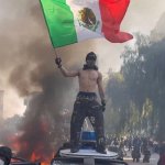 Anarchy of leftists