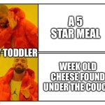 No - Yes | A 5 STAR MEAL; MY TODDLER; WEEK OLD CHEESE FOUND UNDER THE COUCH | image tagged in no - yes,toddler,5 star meal,week old cheese,floor food | made w/ Imgflip meme maker