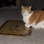 Ouija cat meme