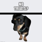 No __________? | NO TREATS? | image tagged in no __________ | made w/ Imgflip meme maker