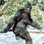 LIKE A SASQUATCH