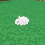 I love you bunny meme