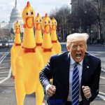 Trump chickens out so often, the other chickens get pissed off.