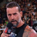 CM Punk template