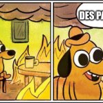 Des Passt Scho