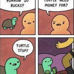 turtle stuff