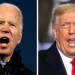 Difference between Trump Biden