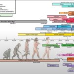 Human history timeline