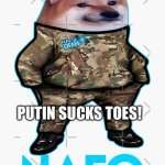 Russia Will Lose! | RUSSIA WILL NEVER WIN! PUTIN SUCKS TOES! | image tagged in nafo dog | made w/ Imgflip meme maker