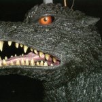 FinalGoji