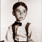 Dear Darla