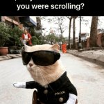 you were scrolling fast