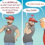 Maga daddy template