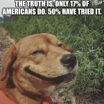 Smoke Weed Everyday | FOR THOSE OF YOU WHO THINK EVERYONE SMOKES WEED, THE TRUTH IS, ONLY 17% OF AMERICANS DO. 50% HAVE TRIED IT. 17% ARE HIGH | image tagged in smoke weed everyday | made w/ Imgflip meme maker