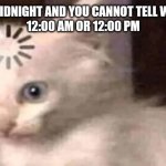 Buffering Cat | WHEN IT'S MIDNIGHT AND YOU CANNOT TELL WHETHER IT'S
12:00 AM OR 12:00 PM | image tagged in buffering cat | made w/ Imgflip meme maker