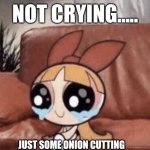 Eyes | NOT CRYING..... JUST SOME ONION CUTTING | image tagged in yeah okay tears in eyes | made w/ Imgflip meme maker