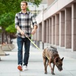 Man Walking Dog