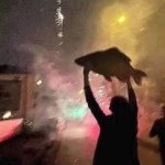 fish found fireworks