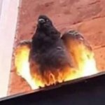 Legendary Skin Pidgin