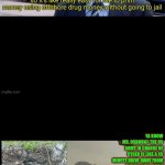 time travelling artificial intelligence