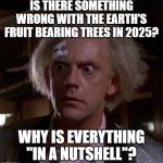 Precisely | IS THERE SOMETHING WRONG WITH THE EARTH'S FRUIT BEARING TREES IN 2025? WHY IS EVERYTHING "IN A NUTSHELL"? | image tagged in doc brown | made w/ Imgflip meme maker
