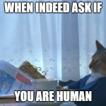 I Should Buy A Boat Cat | WHEN INDEED ASK IF; YOU ARE HUMAN | image tagged in memes,i should buy a boat cat | made w/ Imgflip meme maker