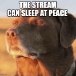 Chill Dog | THE STREAM CAN SLEEP AT PEACE | image tagged in chill dog | made w/ Imgflip meme maker