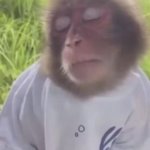 111 GIF Template