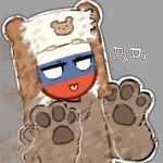 The bear