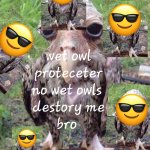 Wet Owl Protecter