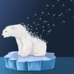 disappearing polar bear