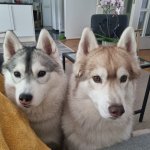 Esperando a la Pachi