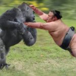 Monkey x man