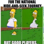 Need players for National Hide and Seek tournament | ASSEMBLING A TEAM
FOR THE NATIONAL 
HIDE-AND-SEEK TOURNEY; BUT GOOD PLAYERS...
ARE HARD TO FIND | image tagged in homer hides,dad joke,hide and seek | made w/ Imgflip meme maker