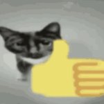 thumb up cat