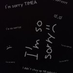 Sorry, for Timea, birthday GIF Template