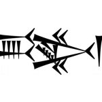 shark thing