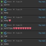 I think Dea likes cats