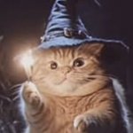 magic cat