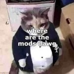 where are the mods dawg