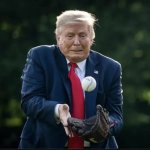 Trump Baseball
