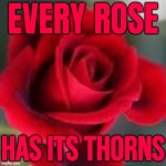 Every Rose Has Its Thorns | EVERY ROSE; HAS ITS THORNS | image tagged in roses are red,life lessons,philosophy,inspirational quote,religion,spirituality | made w/ Imgflip meme maker