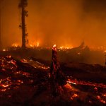 Land on fire