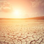 Dry desert