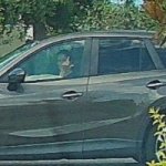 Dude I saw your mom...